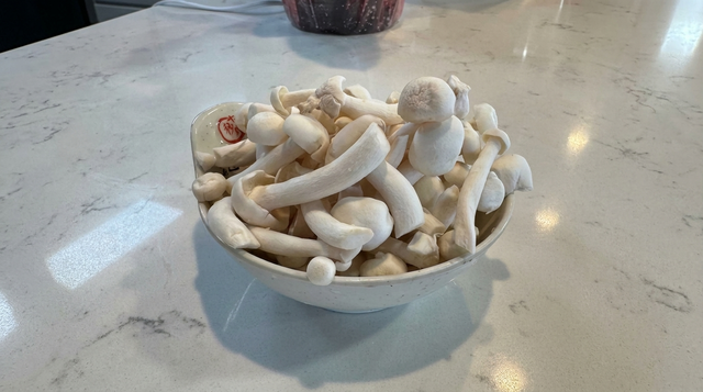 Blanched Mushrooms 燙菌菇